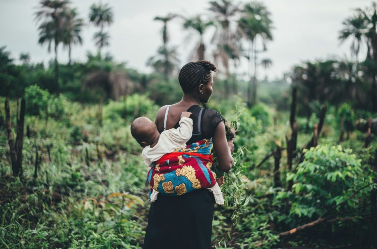 PAPER HIGHLIGHT: “HUNGER IN THE SHADOW OF CONFLICT: ANALYZING MALNUTRITION AND HUMANITARIAN CHALLENGES IN SUDAN” by Amira Mohamed & Anmar Homeida 